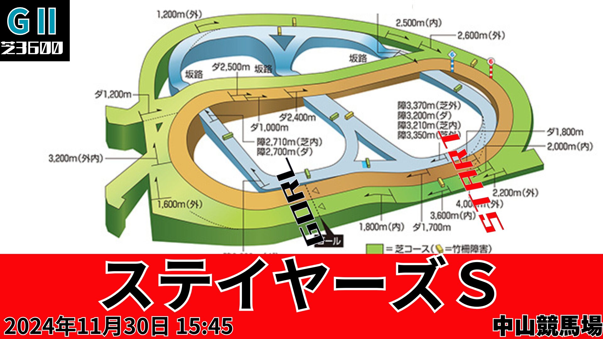 ステイヤーズステークスコース図