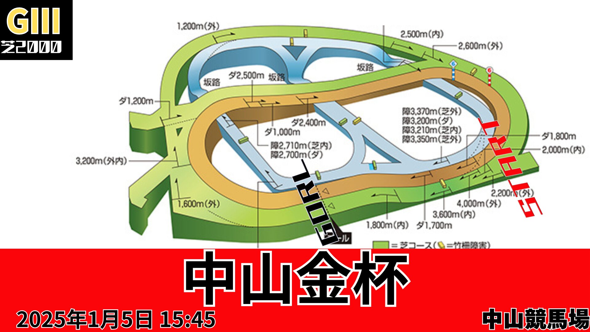 中山金杯コース図