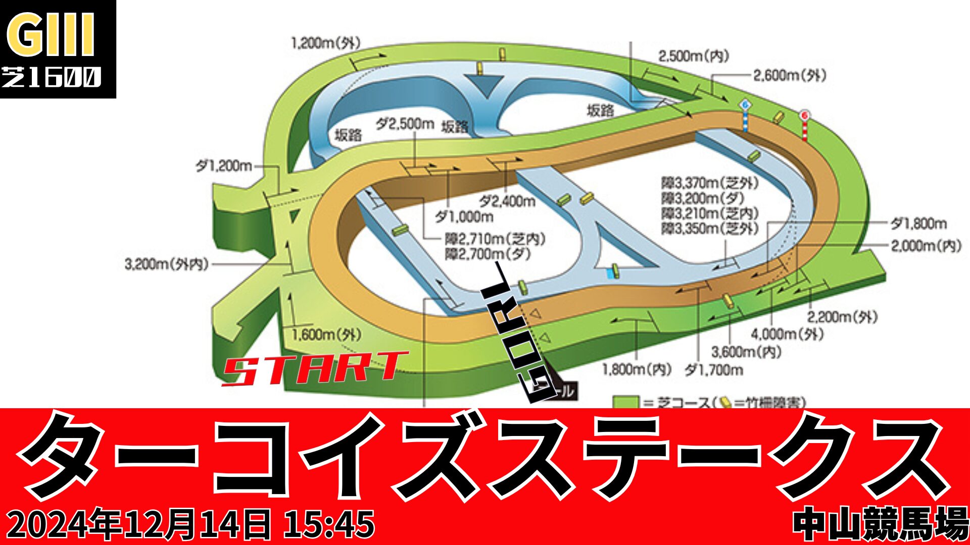 ターコイズSコース図