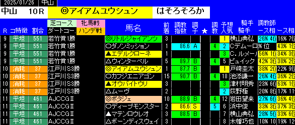 特別戦全レース予想中山