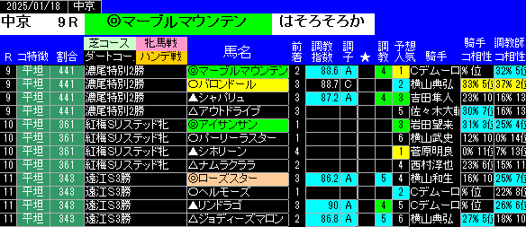 特別戦全レース予想中京