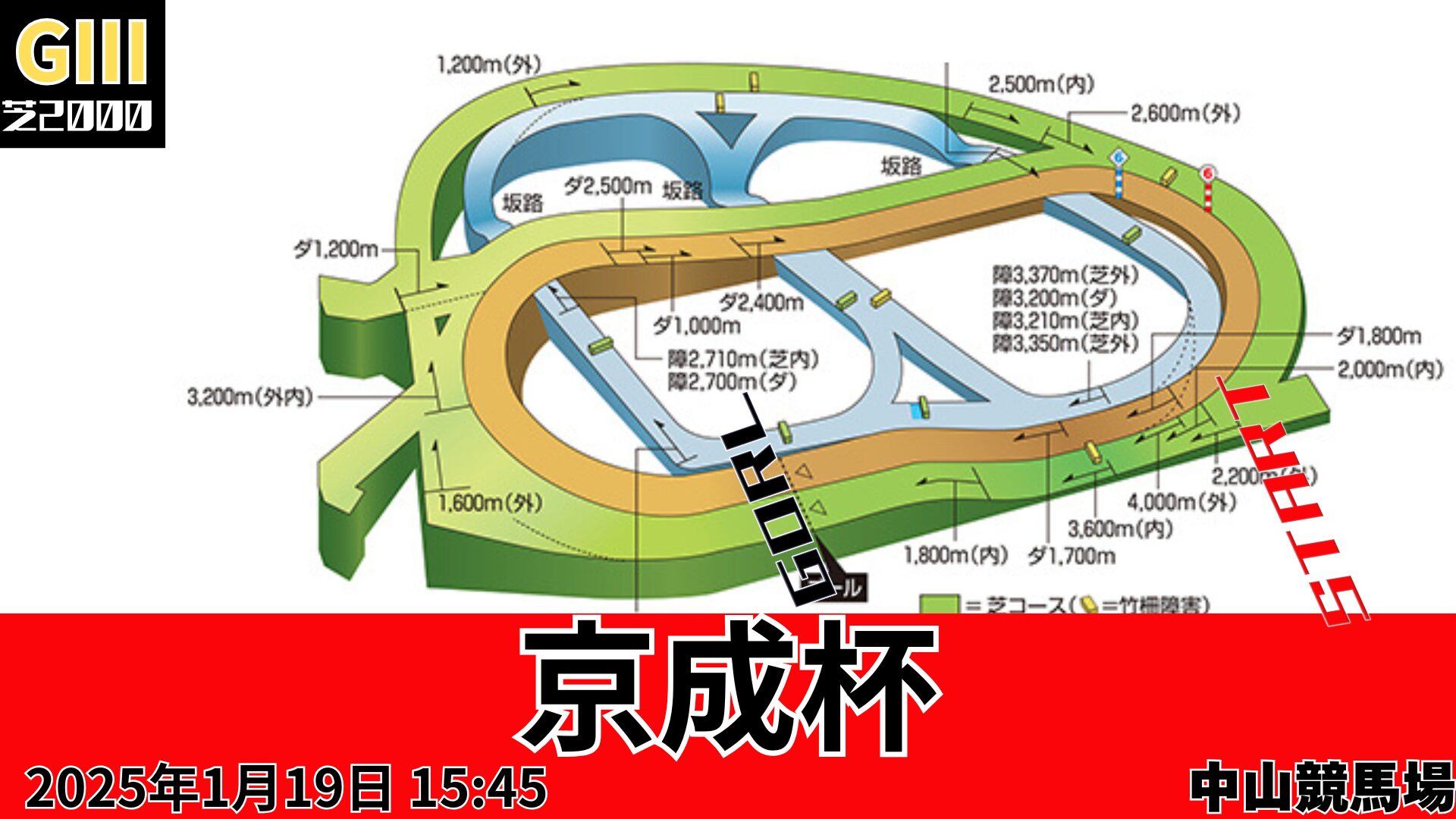 京成杯コース図