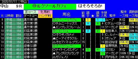 特別戦全レース予想中山