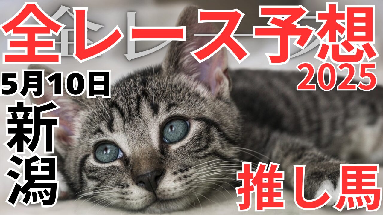 全レース予想
