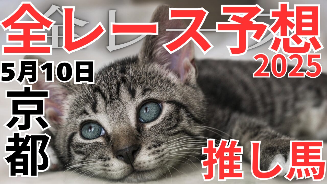全レース予想