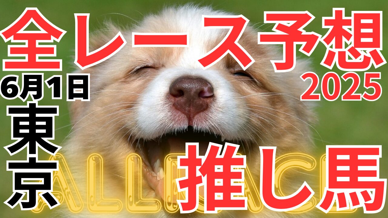 全レース予想