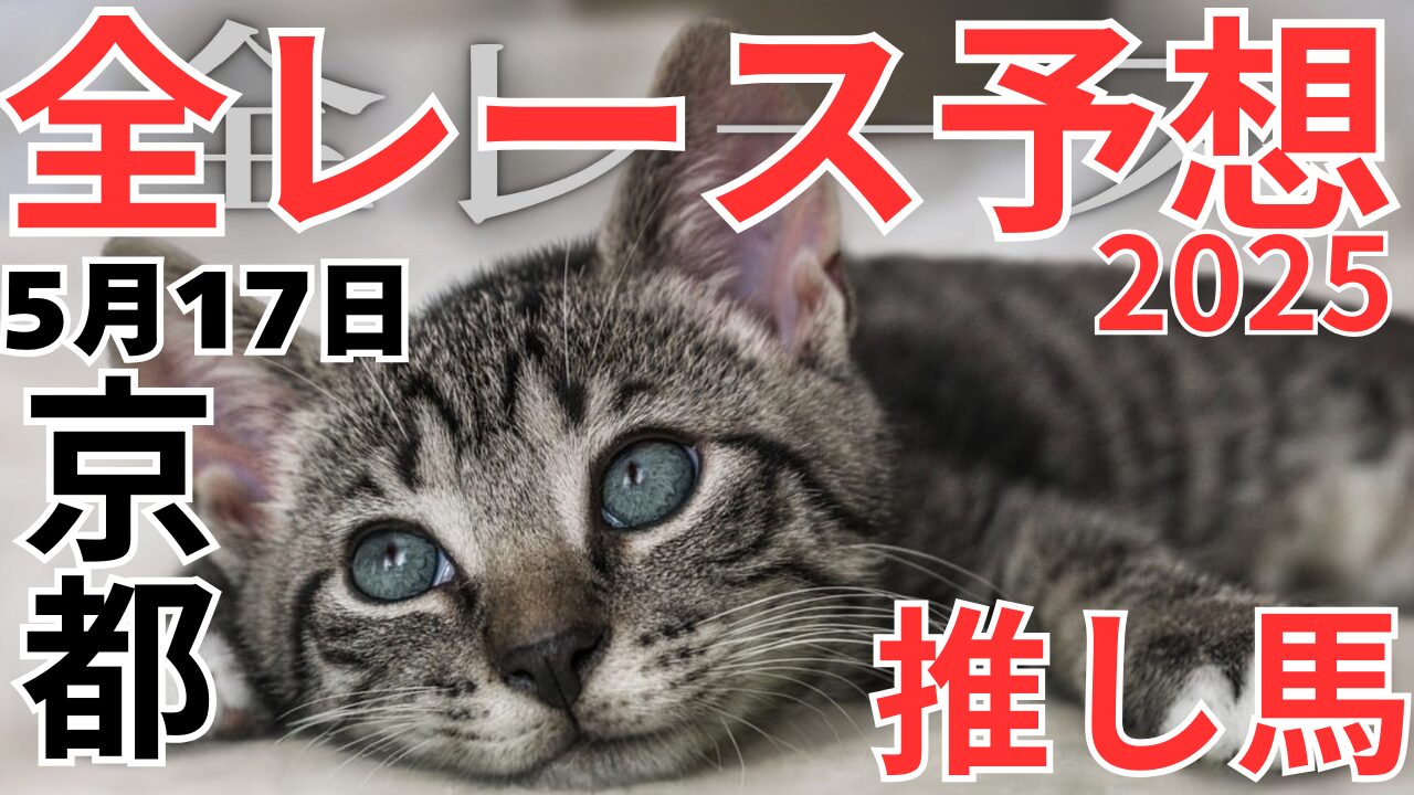 全レース予想