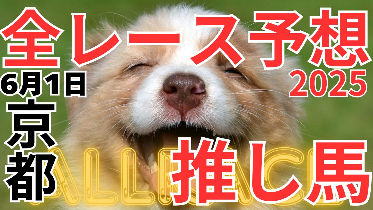 全レース予想
