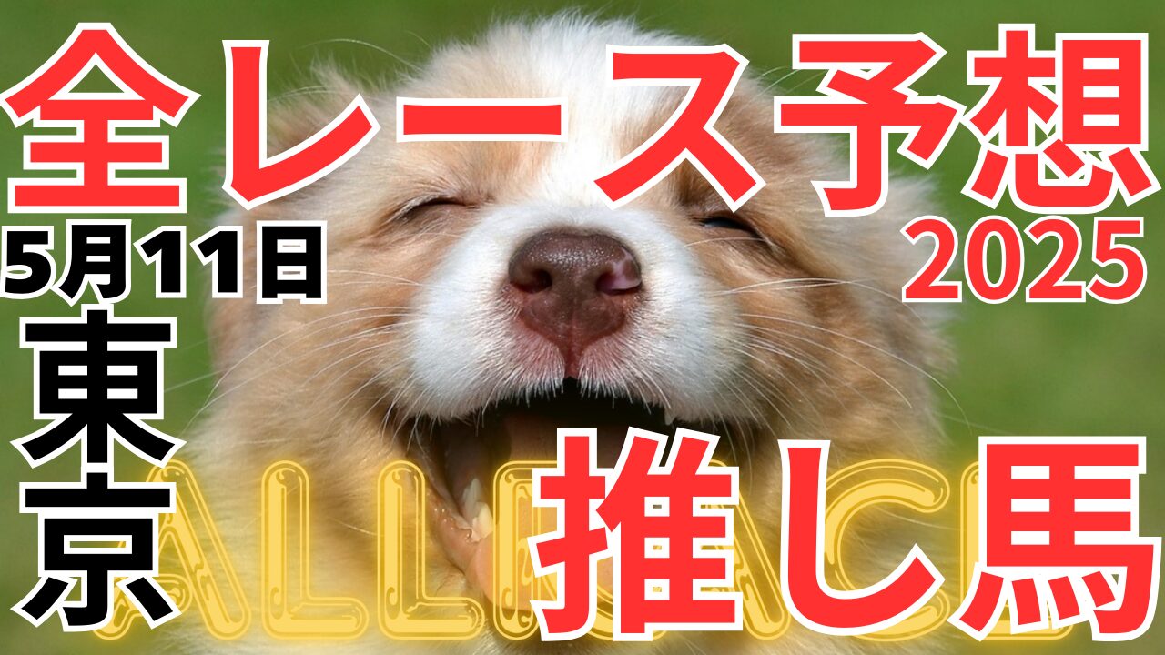全レース予想