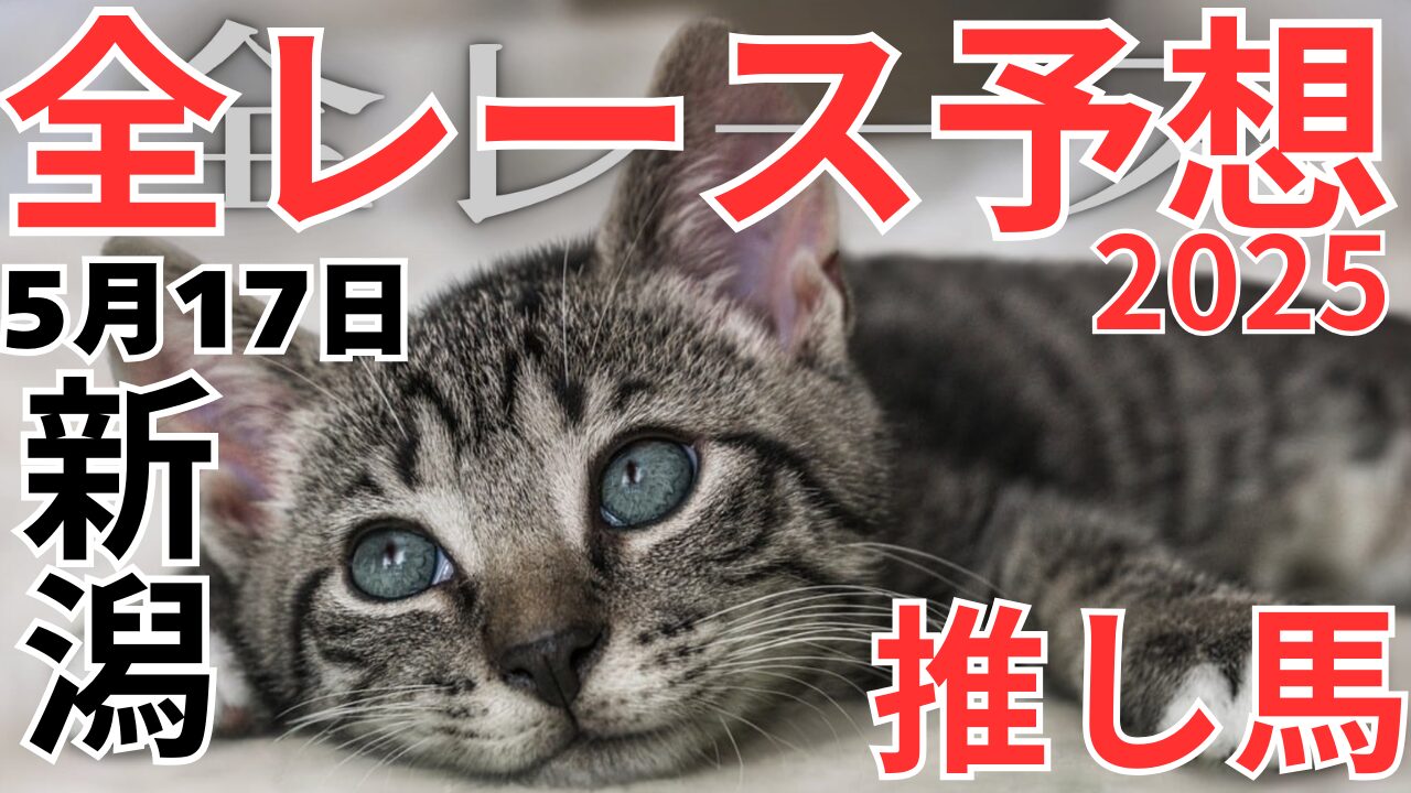 全レース予想