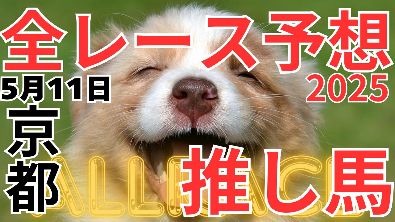 全レース予想