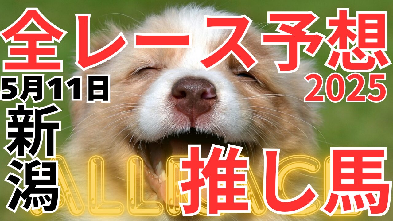 全レース予想