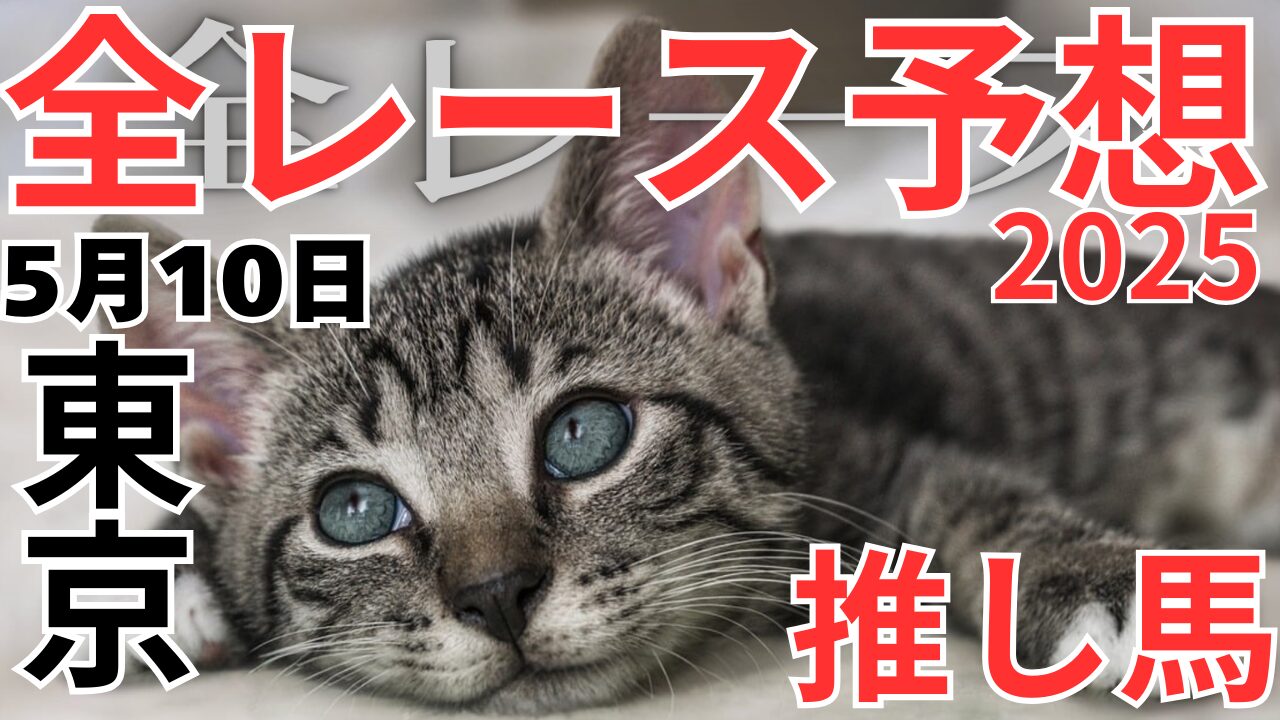 全レース予想