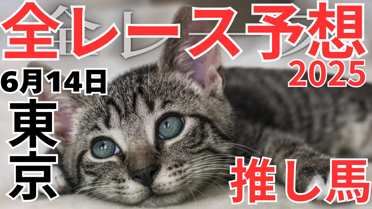 全レース予想