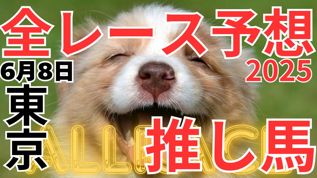 全レース予想