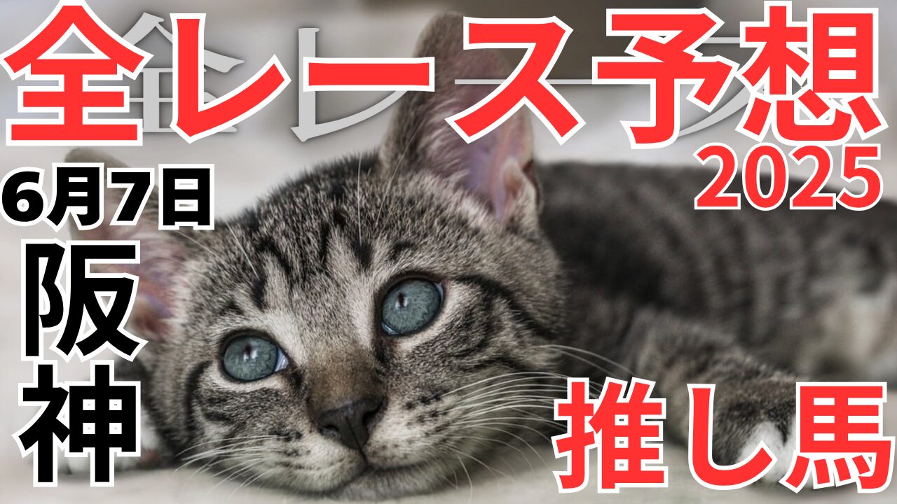 全レース予想