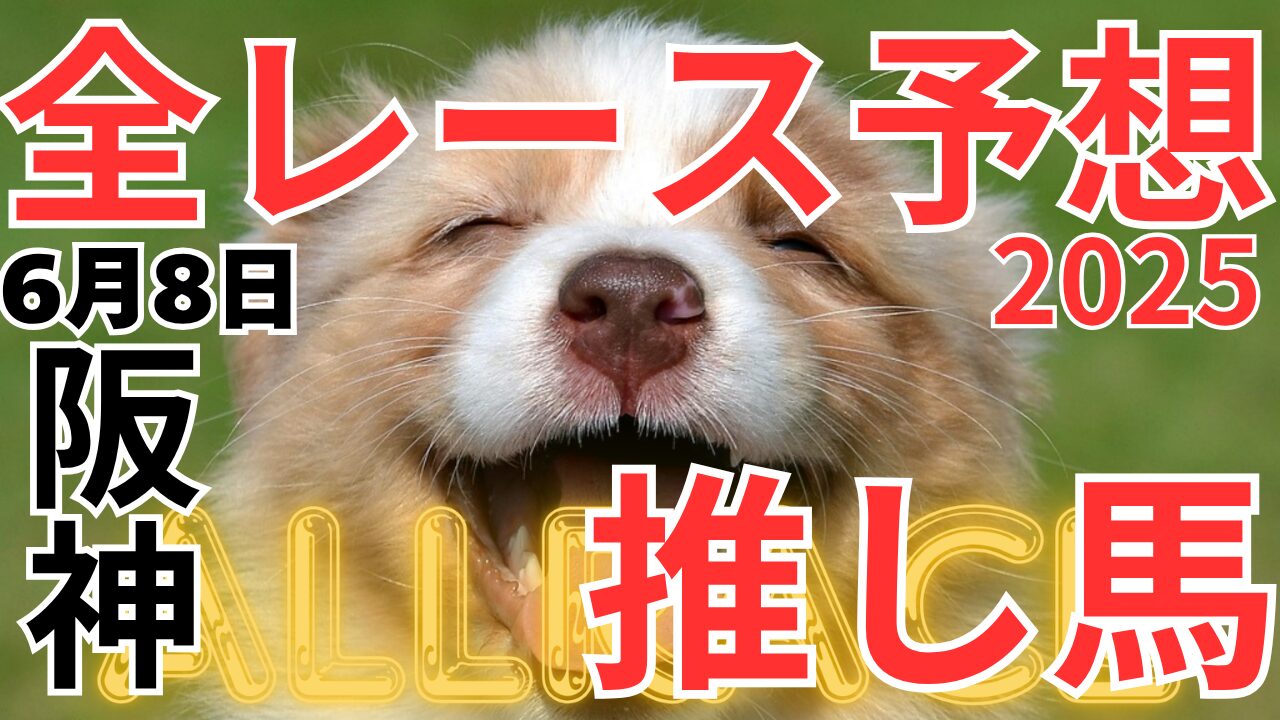 全レース予想