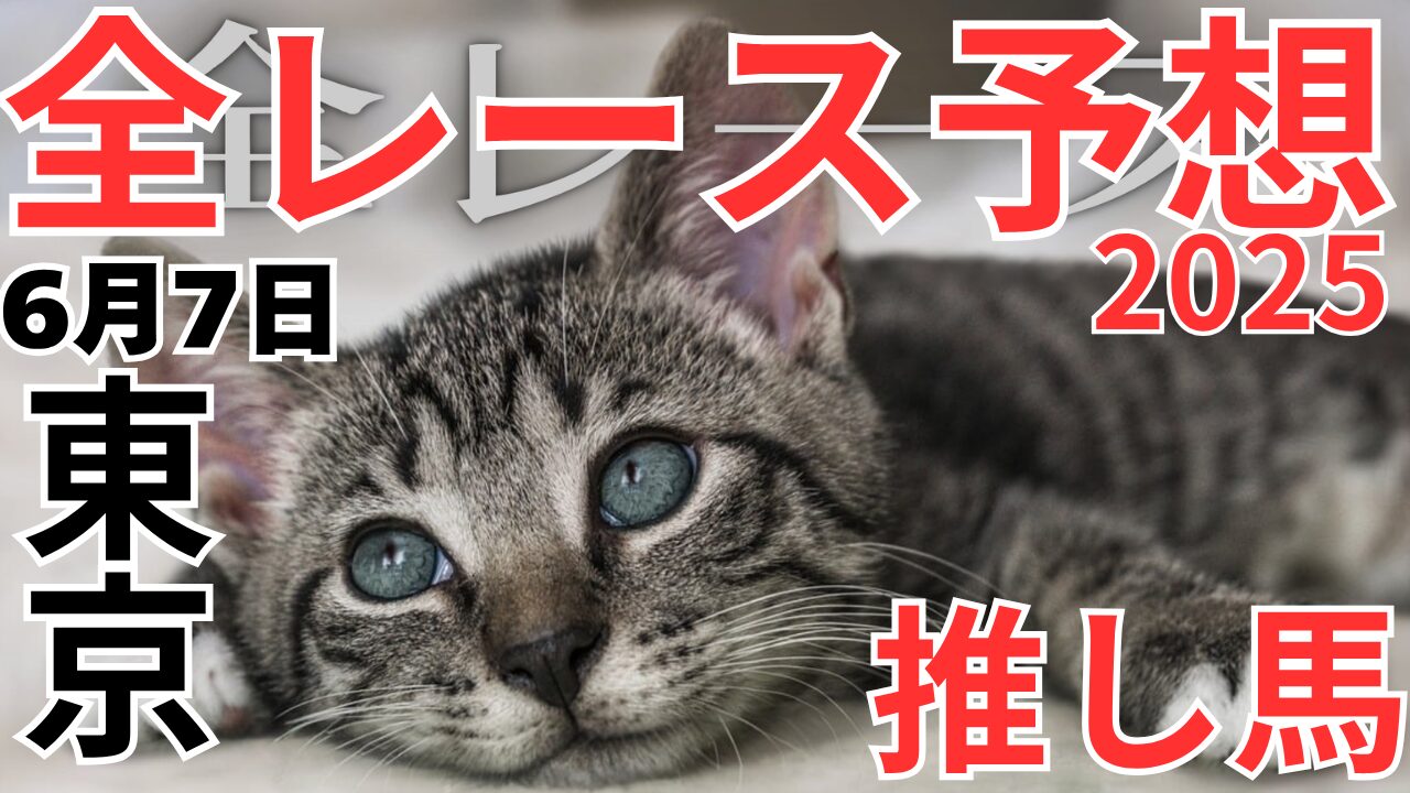 全レース予想