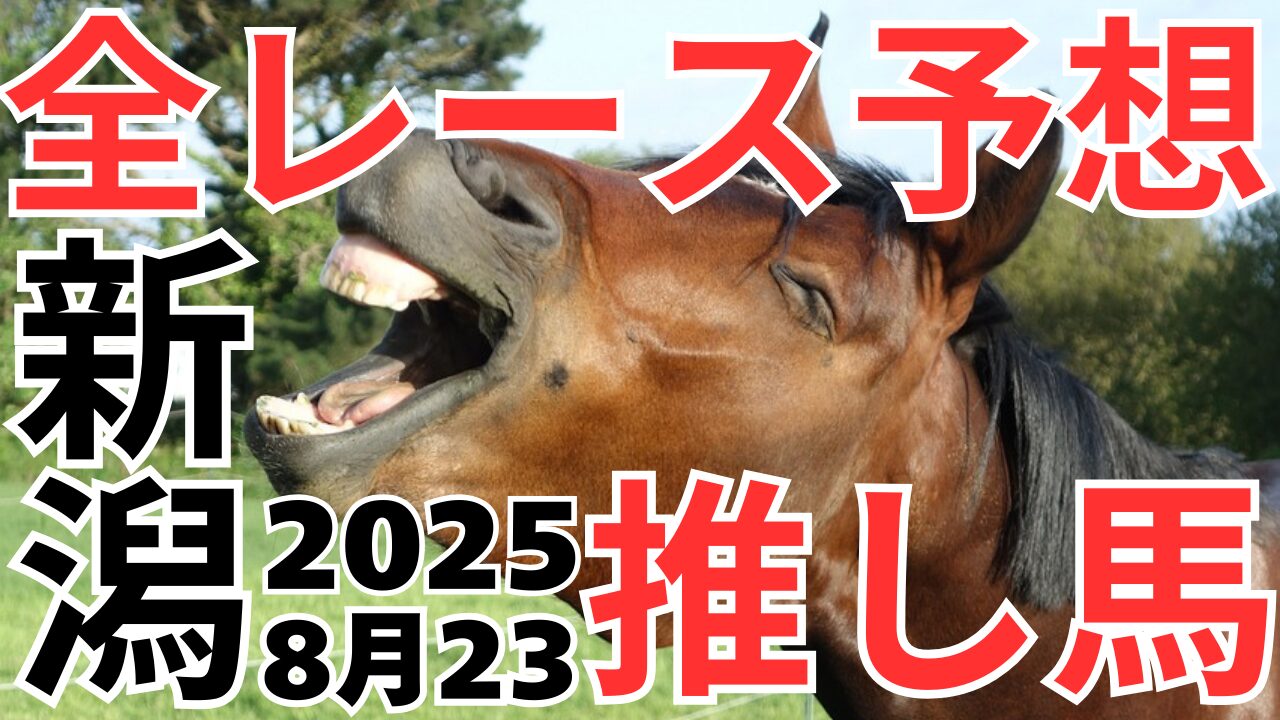 全レース予想