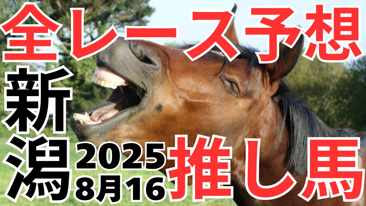 全レース予想