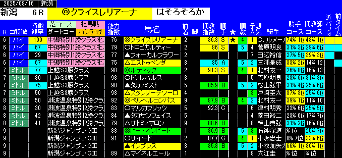 特別戦予想新潟