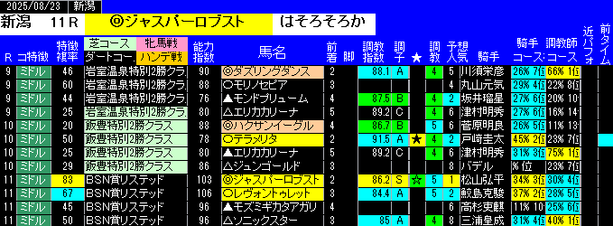 特別戦予想新潟