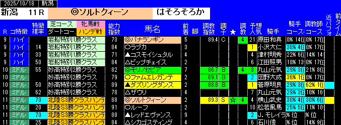 特別戦投資新潟