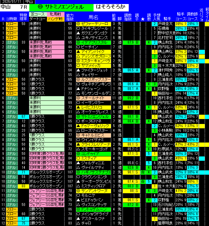 全レース予想中山