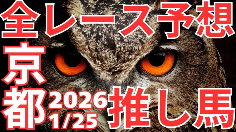 全レース予想