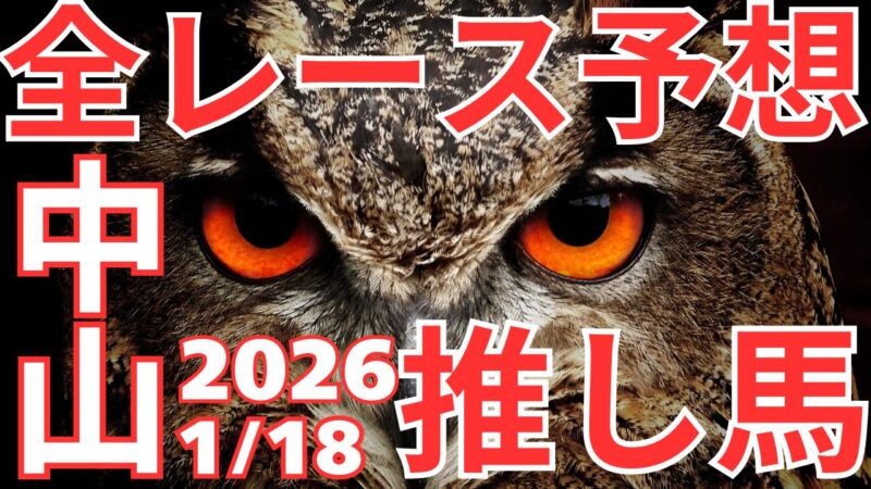 全レース予想