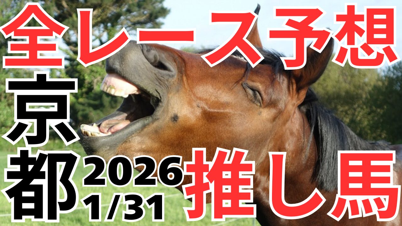 全レース予想
