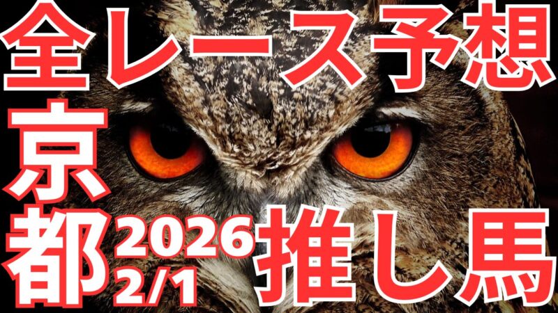 全レース予想