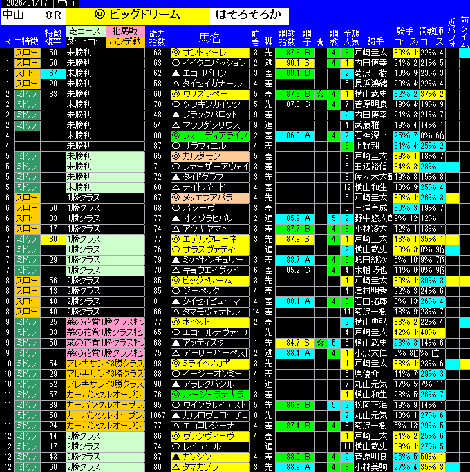 全レース予想中山