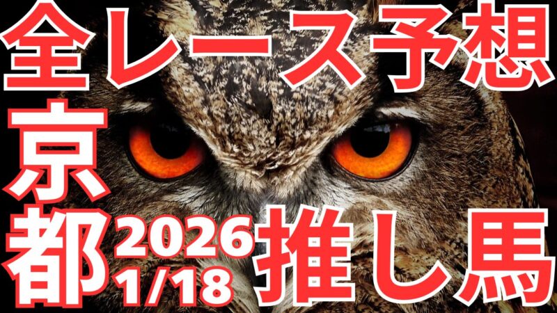 全レース予想