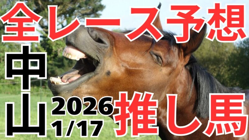 全レース予想