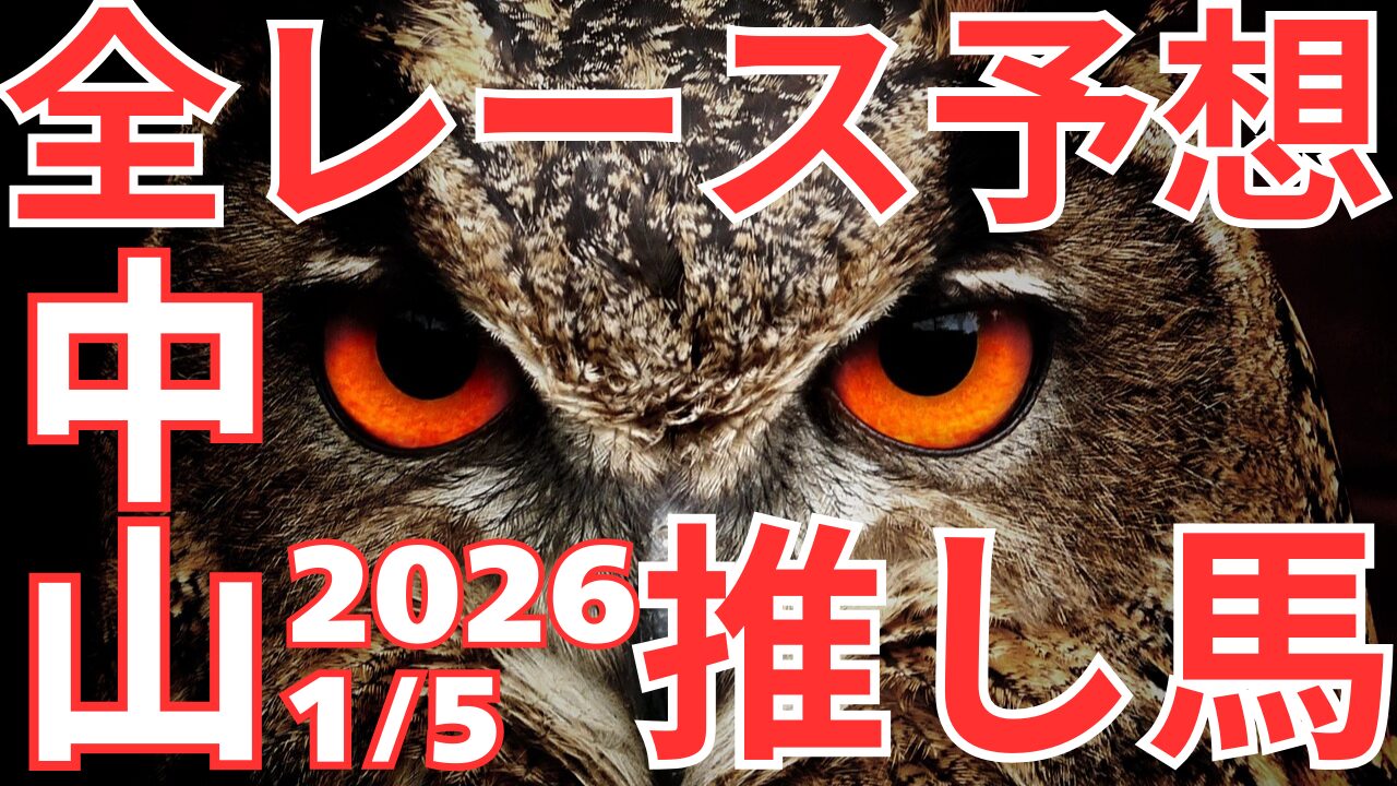 全レース予想
