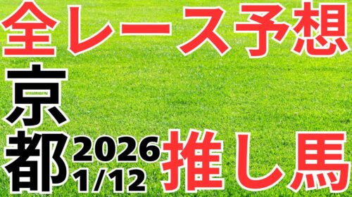 全レース予想