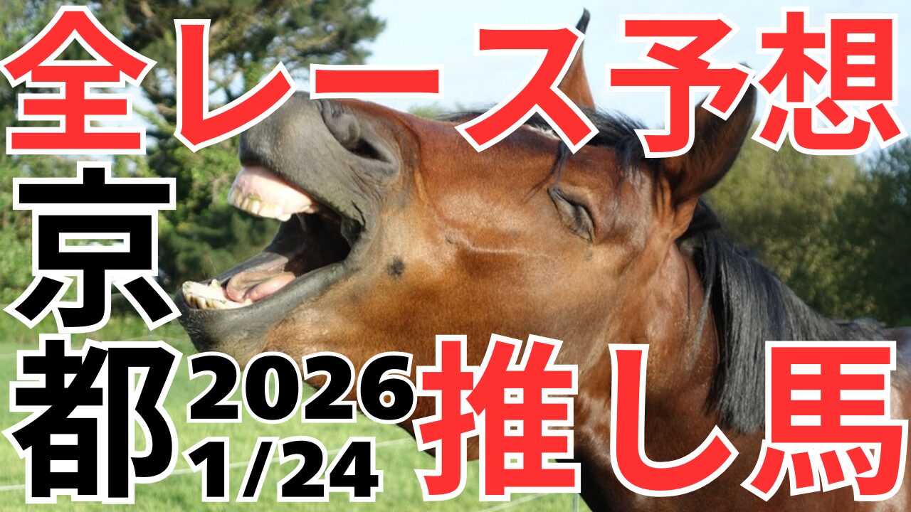 全レース予想