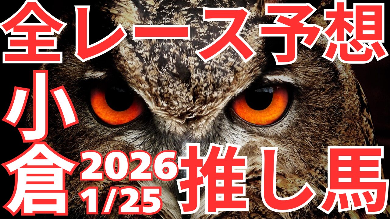 全レース予想