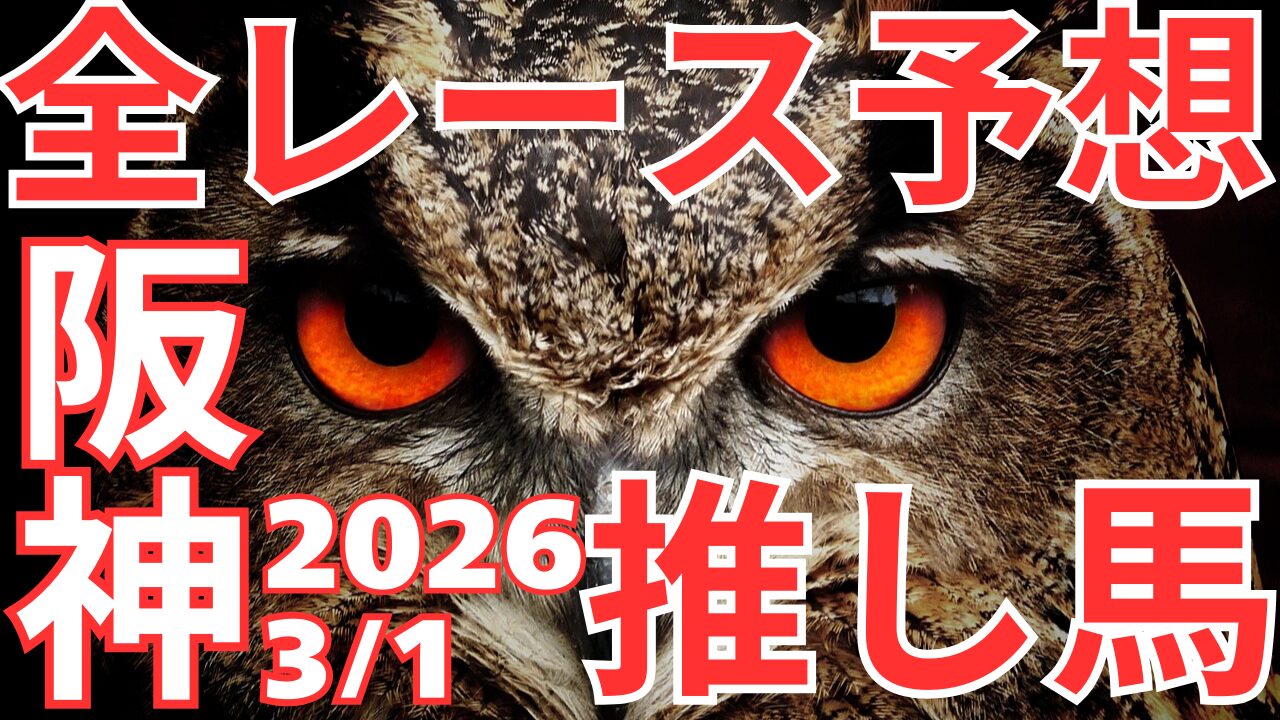 全レース予想
