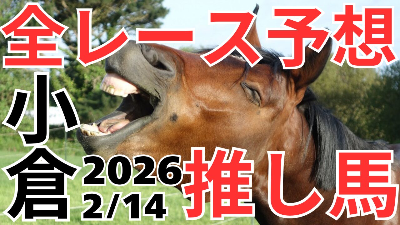 全レース予想