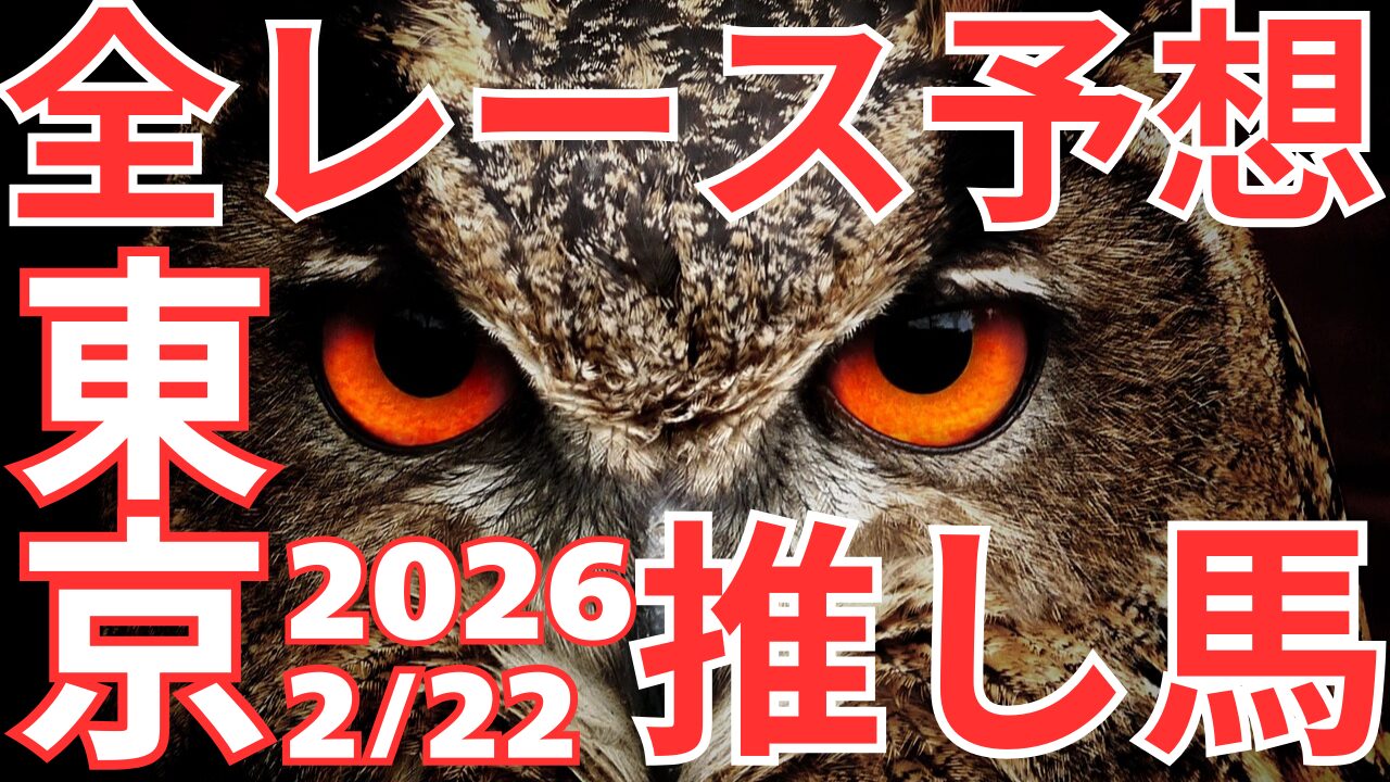 全レース予想