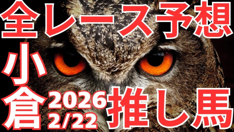 全レース予想