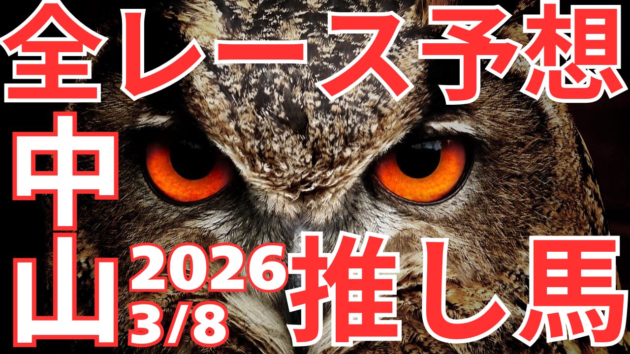 全レース予想
