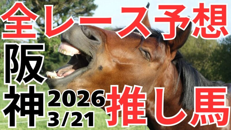 全レース予想