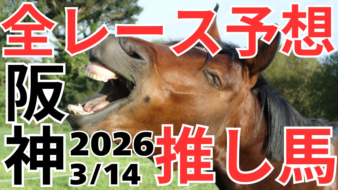 全レース予想