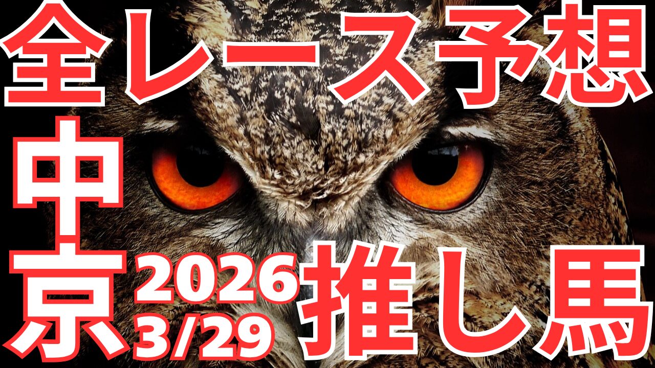 全レース予想