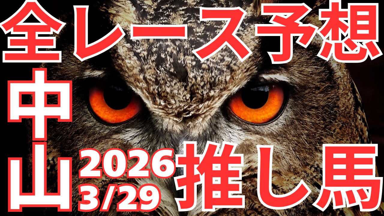 全レース予想