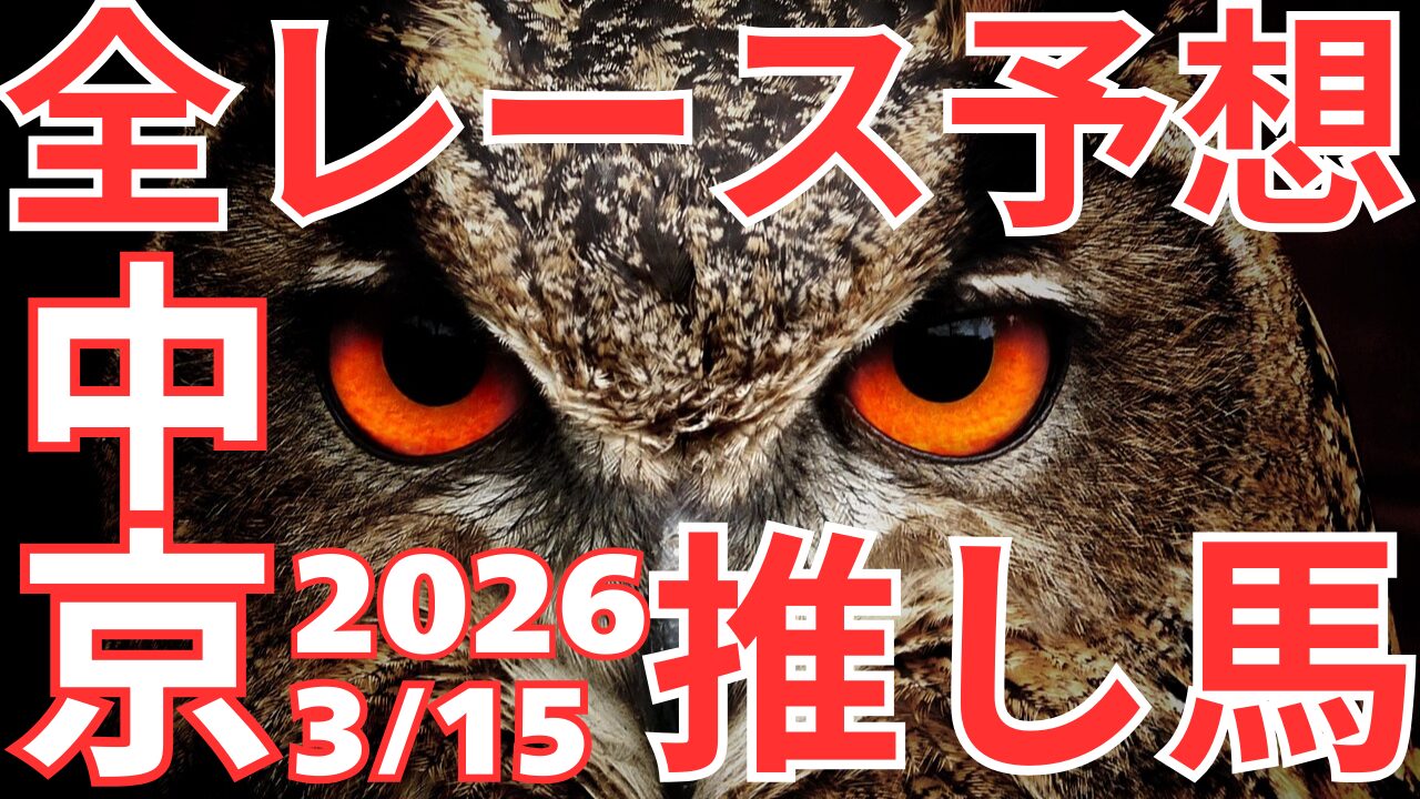 全レース予想