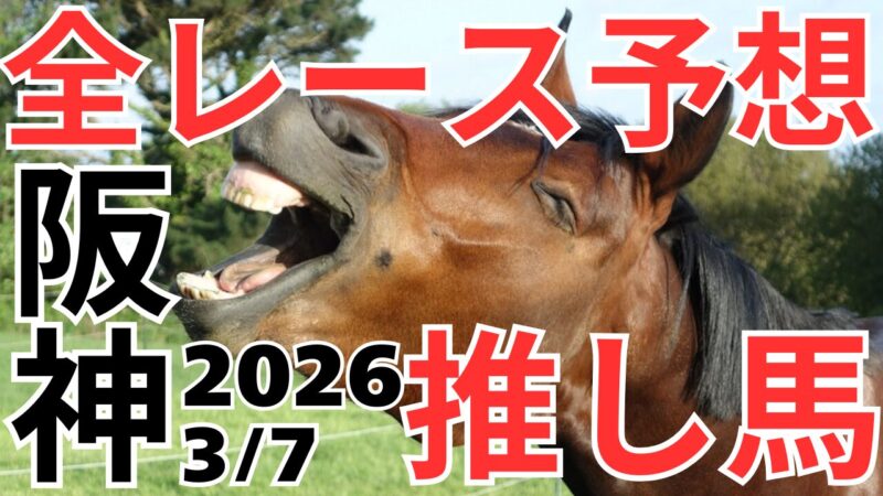 全レース予想